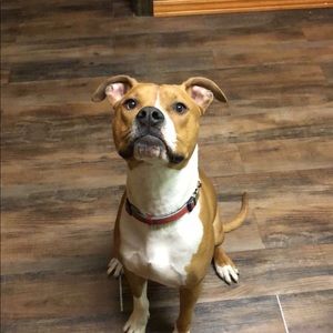 Meet your Posher, Kate